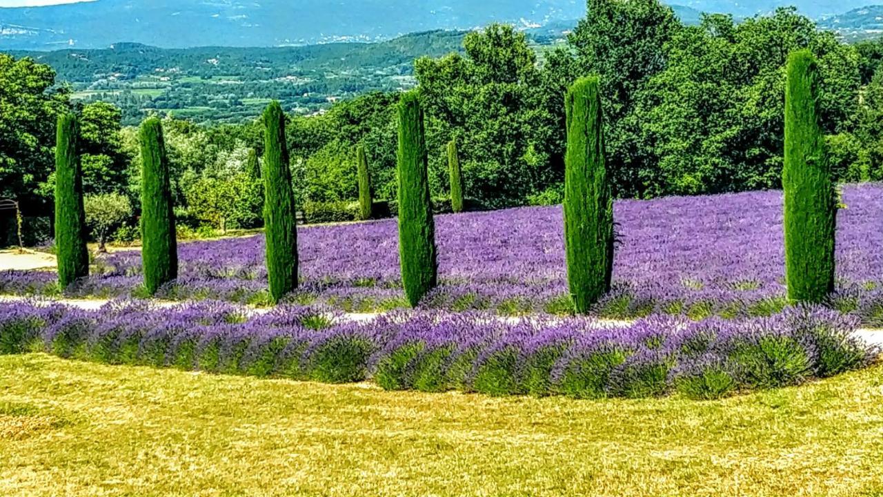 La Perle De Gordes Apartman Kültér fotó